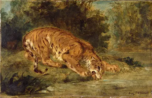 Tigre buvant - Eugène Delacroix