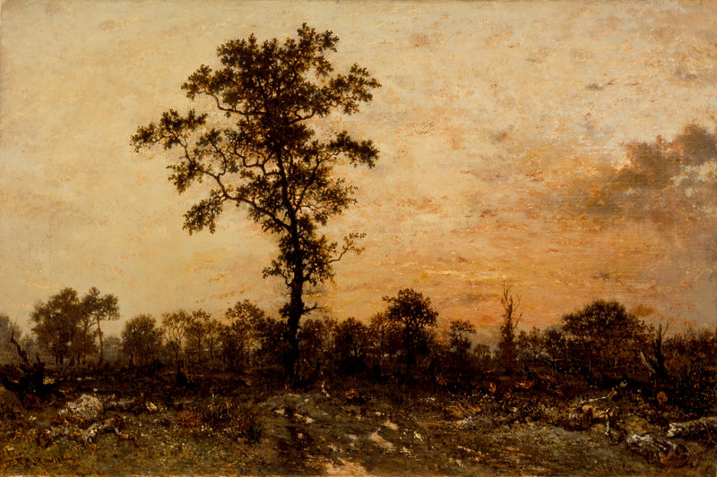 Lisière de forêt, coucher de soleil - Théodore Rousseau