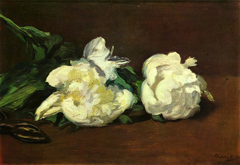 Branche de pivoines blanches et sécateur - Édouard Manet
