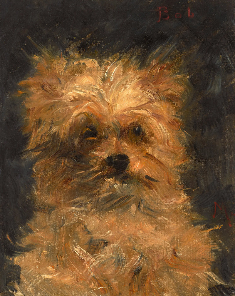 Bob, chien griffon - Édouard Manet