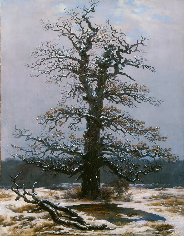 Chêne sous la neige - Caspar David Friedrich