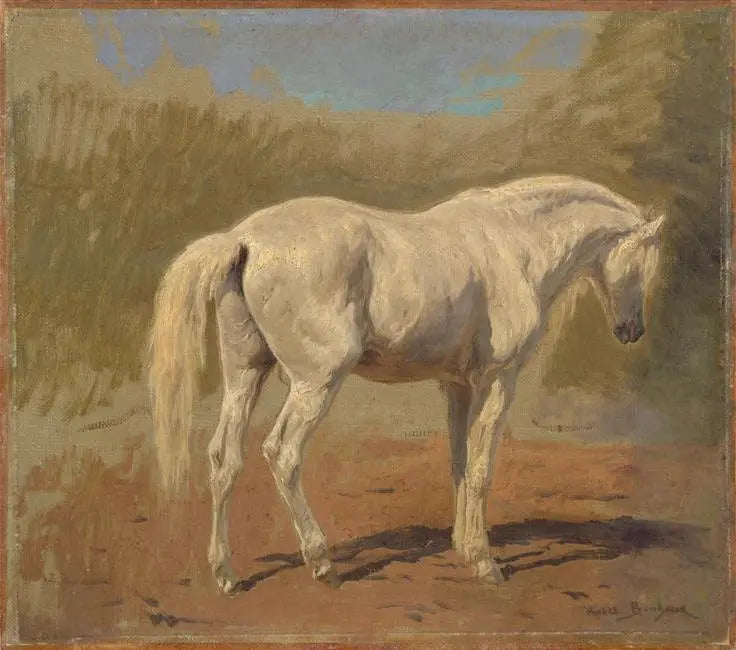 Étude de cheval blanc - Rosa Bonheur