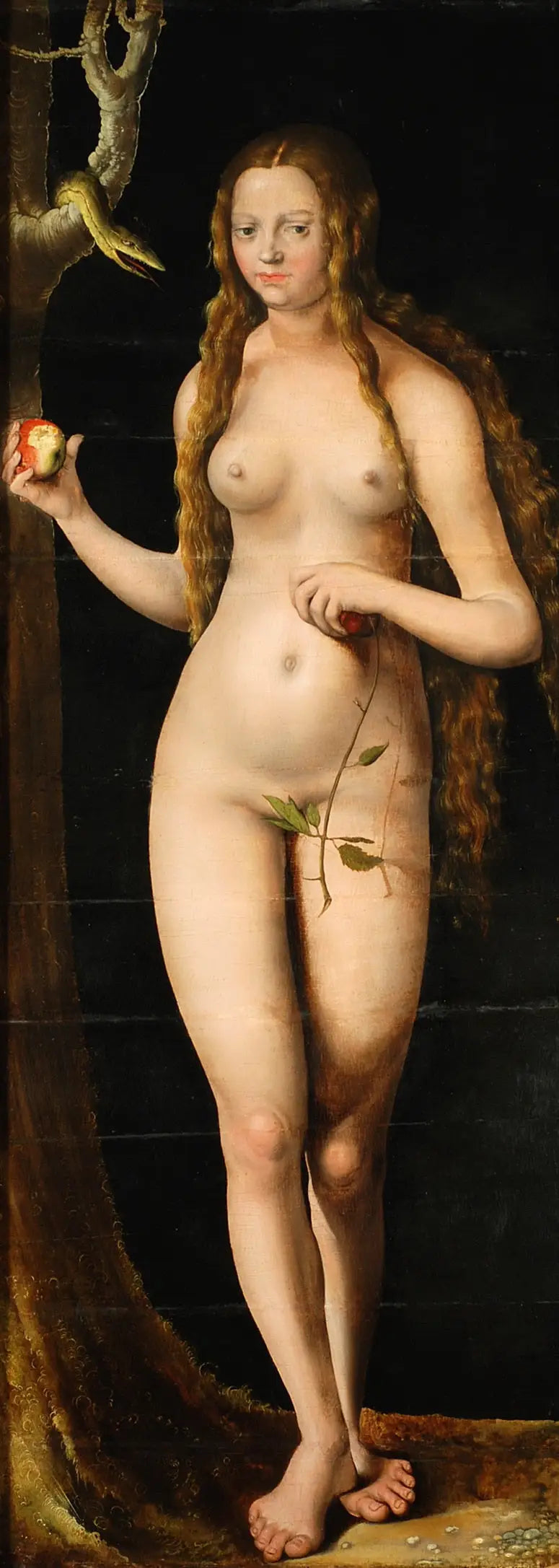 Veille - Lucas Cranach the Elder