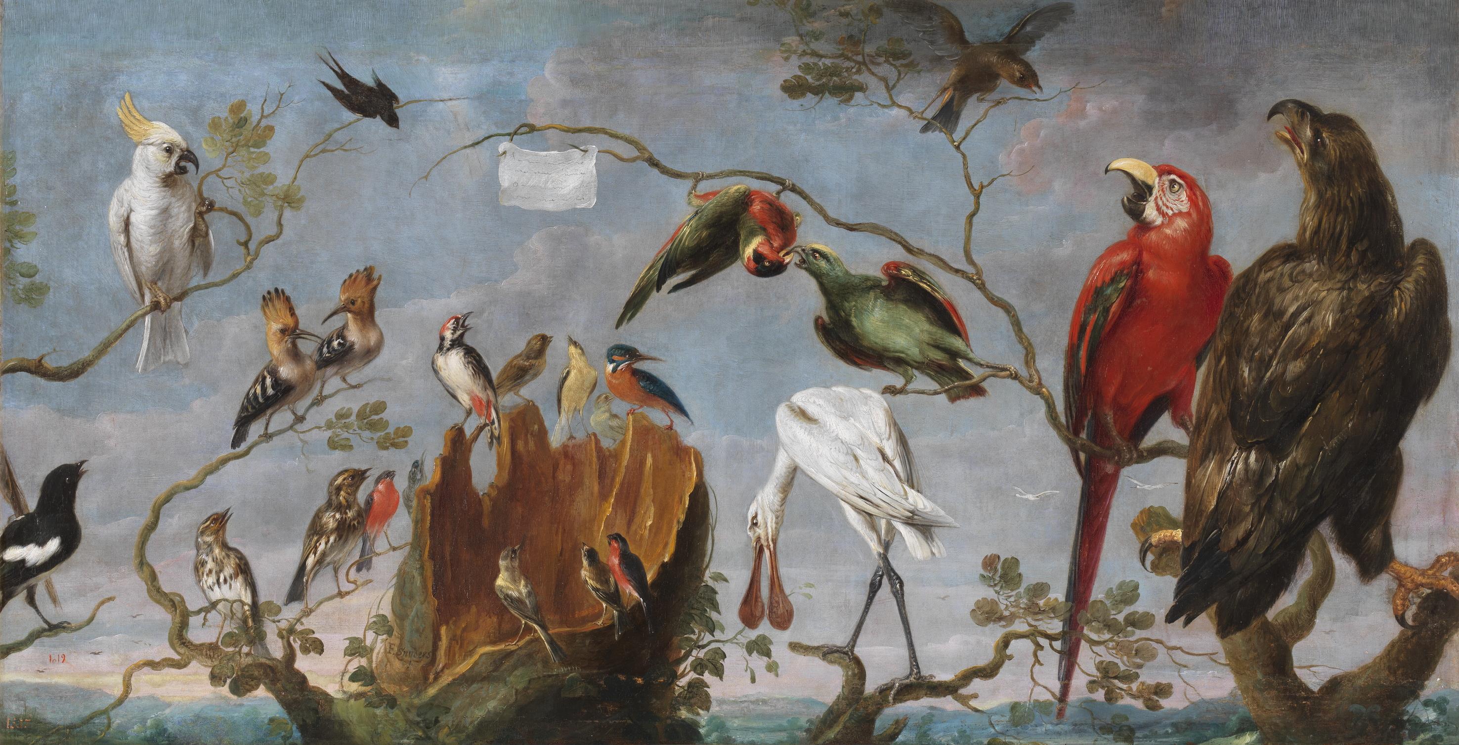 Concert d'Oiseaux - Frans Snyders