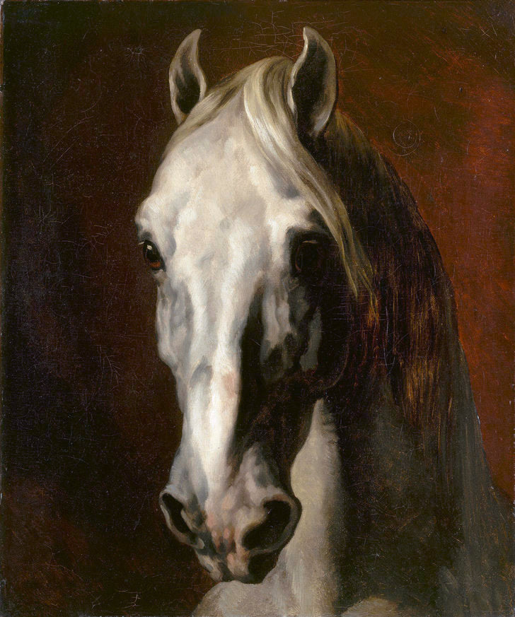 Reproduction du tableau « Tête de cheval blanc - Théodore Géricault » par Alpha Reproduction en peinture à l’huile
