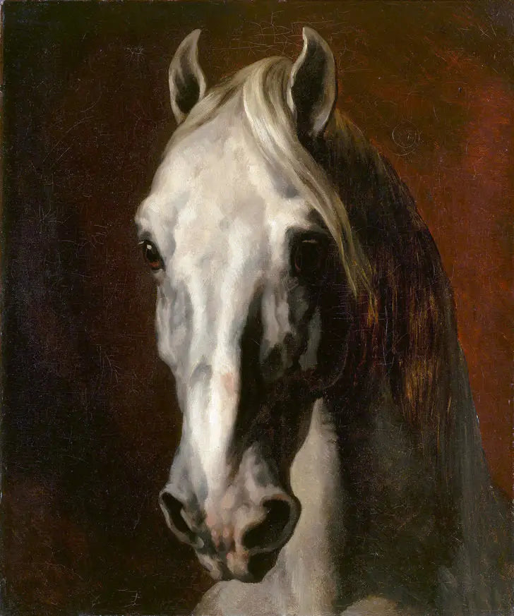 Tête de cheval blanc - Théodore Géricault