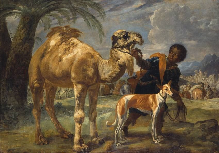 Q29946536 - Giovanni Benedetto Castiglione