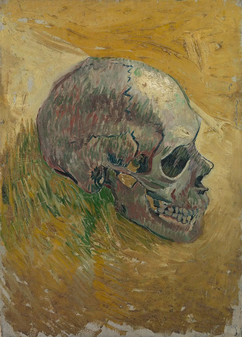 Crâne de squelette - Vincent van Gogh