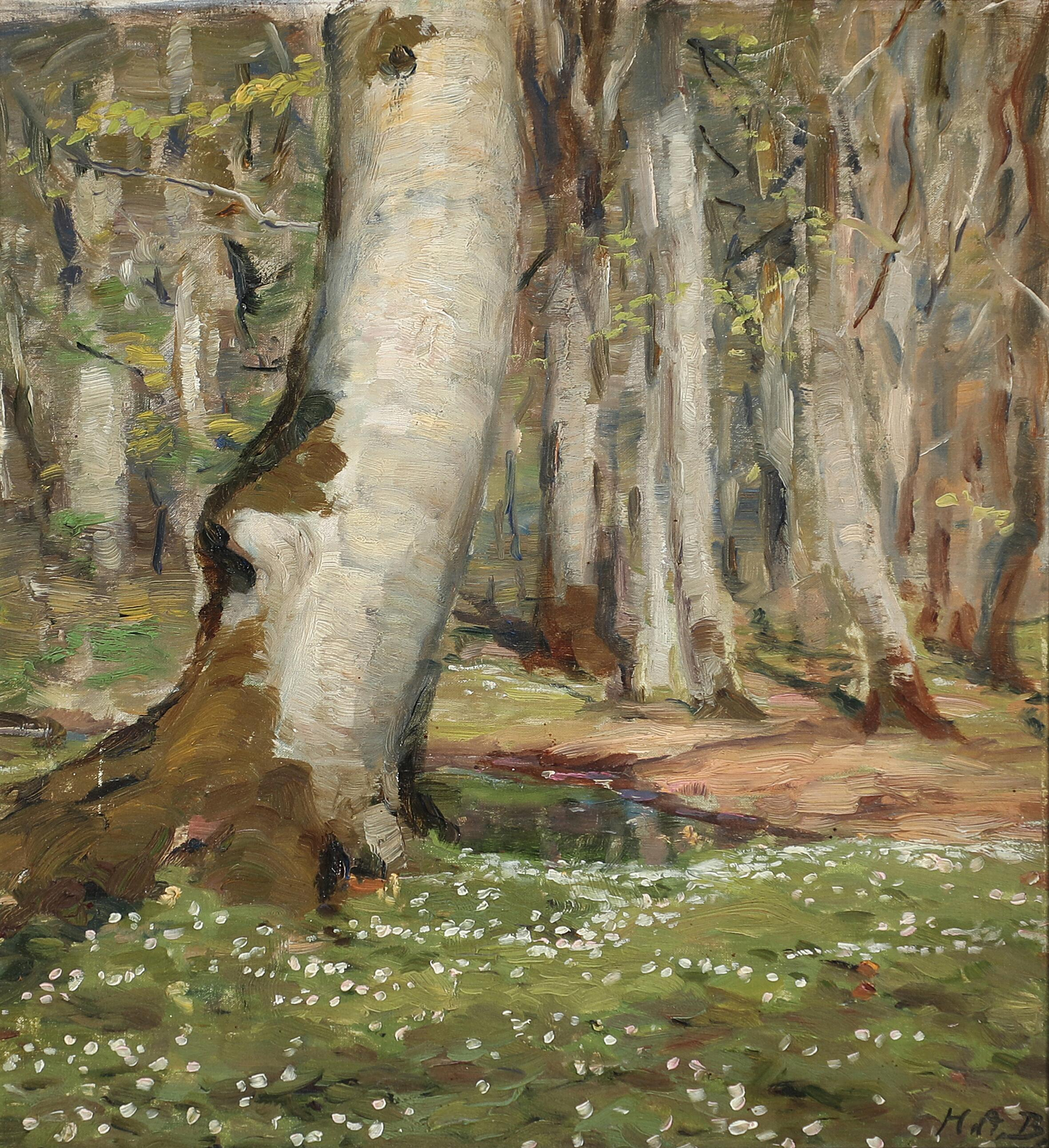 Anémones dans les bois au printemps. - H. A. Brendekilde