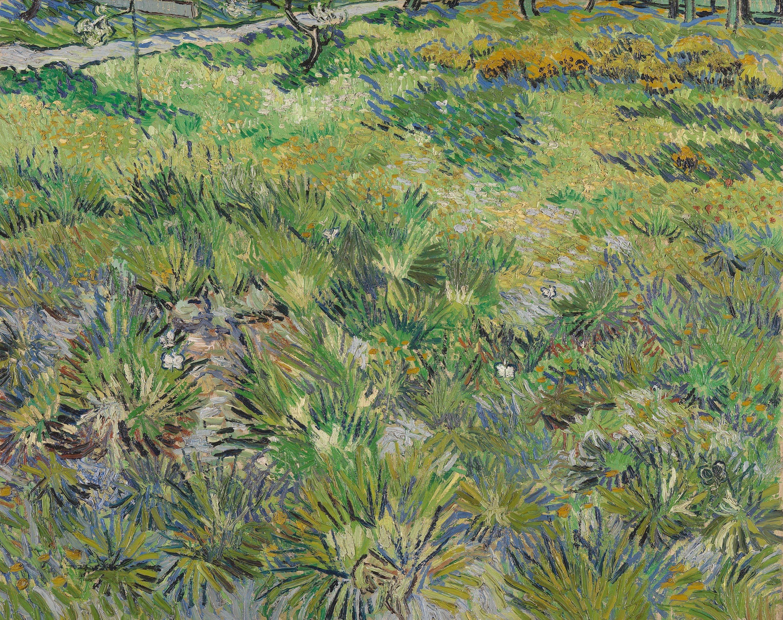Herbe longue avec des papillons - Vincent van Gogh