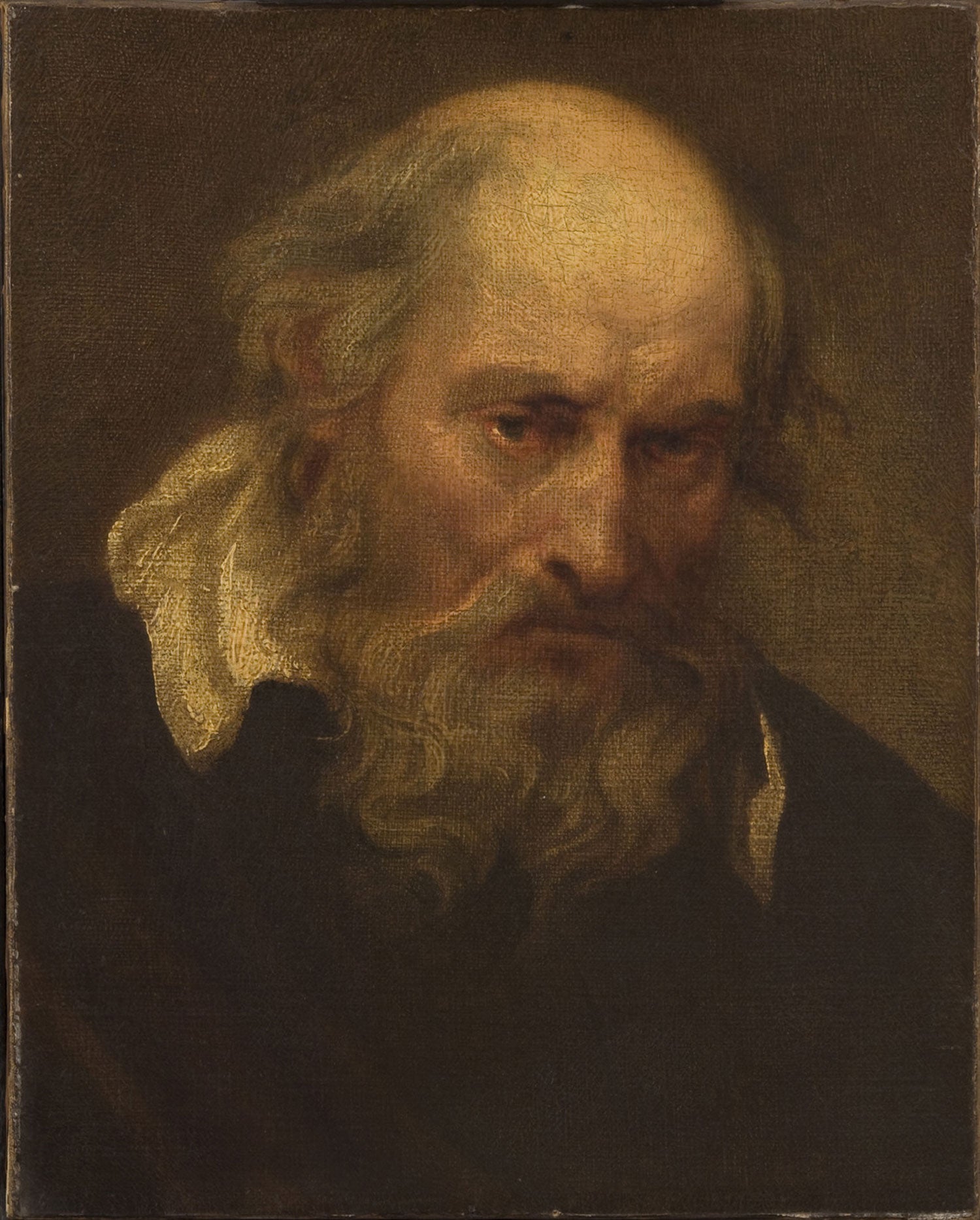 Tête d'un vieil homme - Antoine van Dyck
