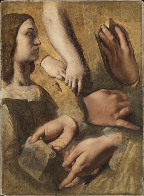 Profil de Raphaël, mains de Raphaël, Racine et Poussin, études pour l'apothéose d'Homère - Jean-Auguste-Dominique Ingres