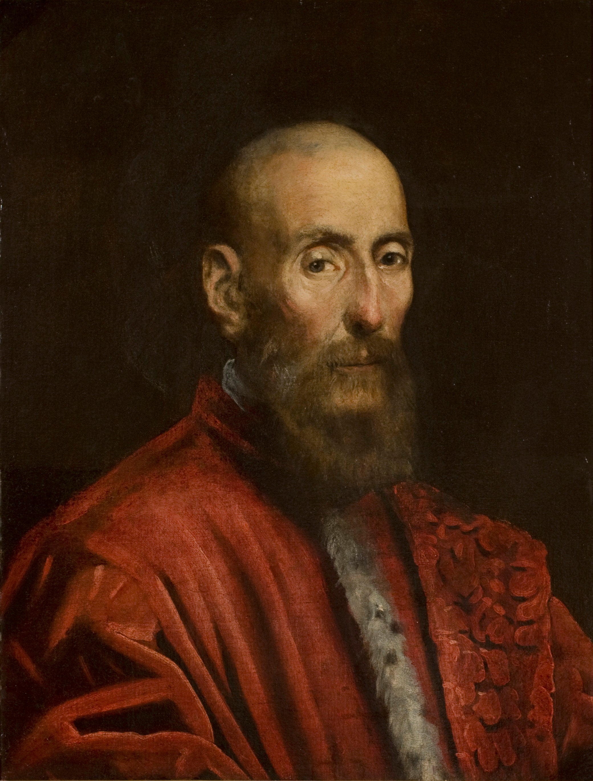 Portrait d'un sénateur - Jacopo Tintoretto