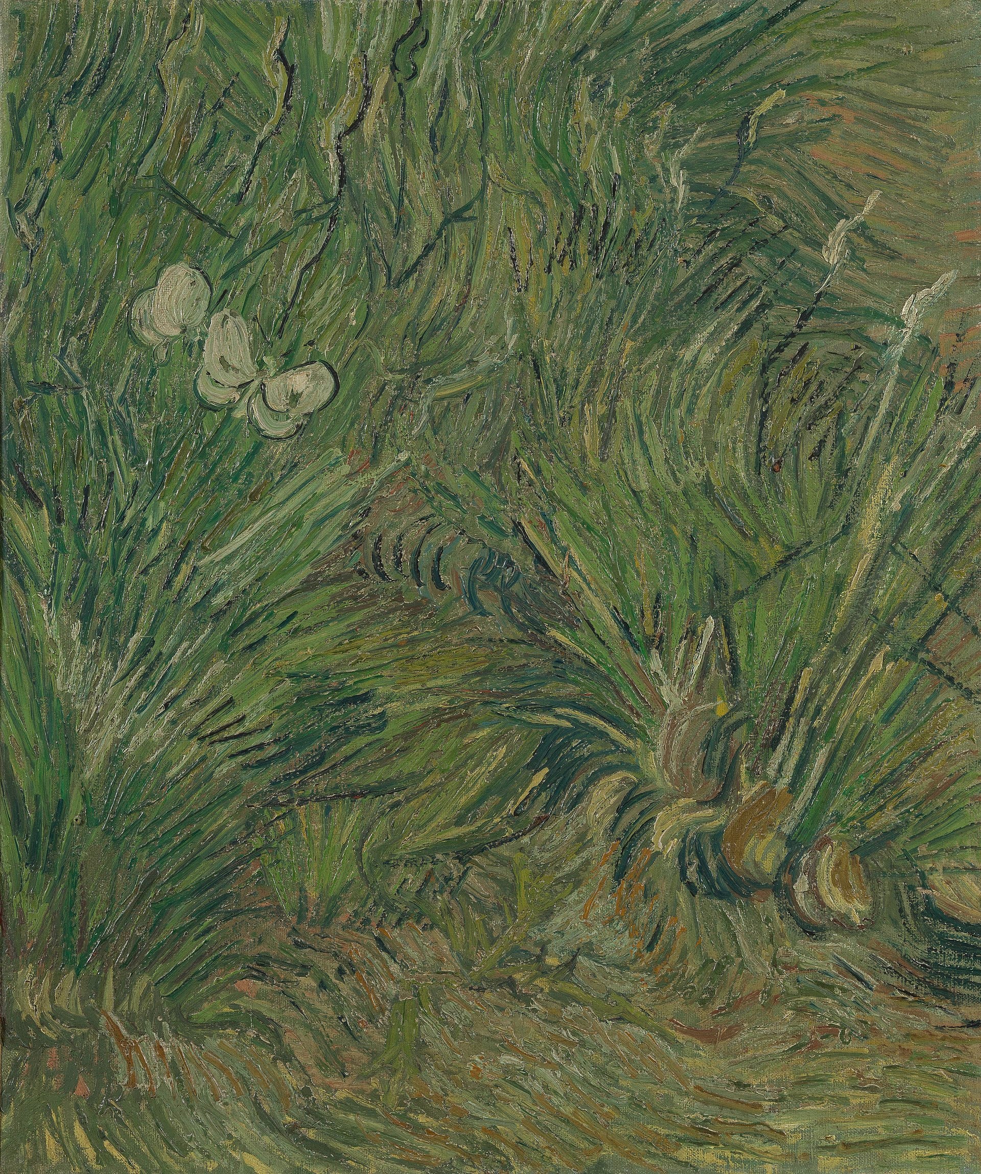 Jardin aux papillons - Vincent van Gogh