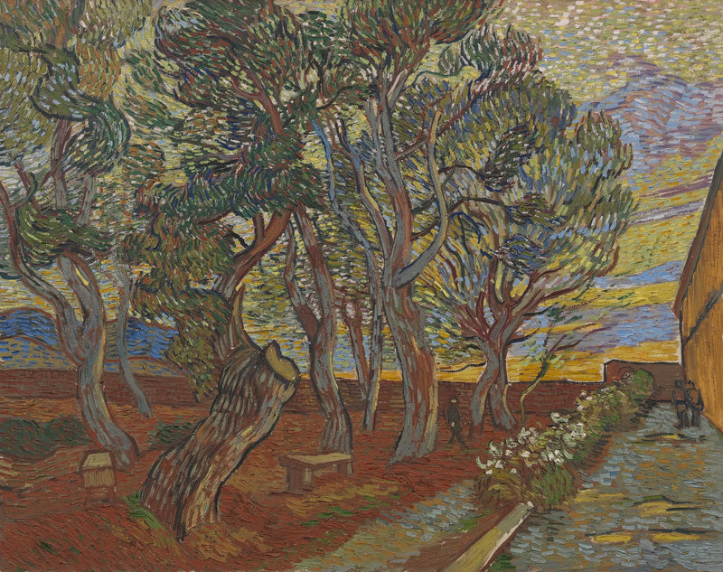 Jardin de l'Asile - Vincent van Gogh