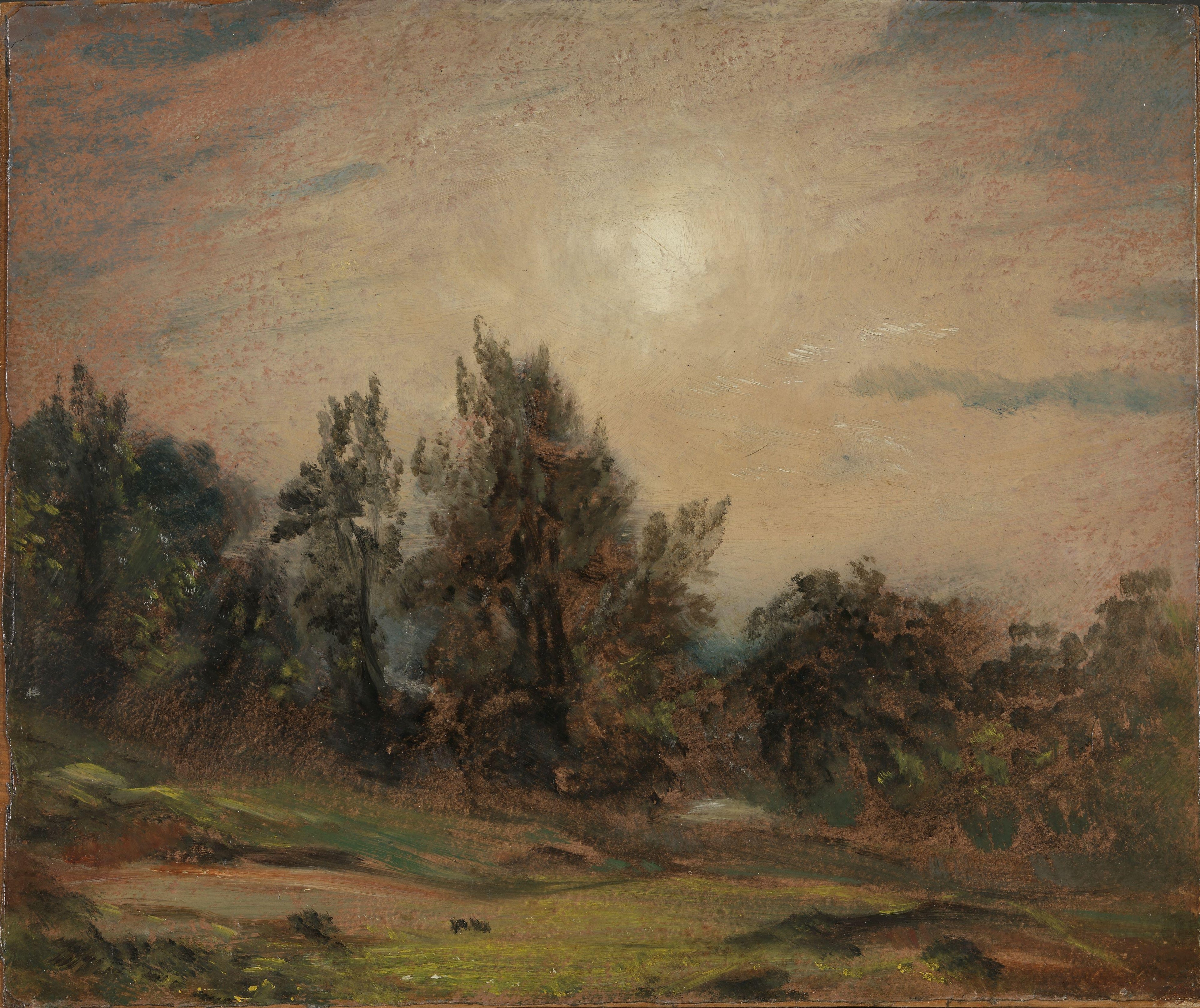 Arbres sur Hampstead Heath - John Constable