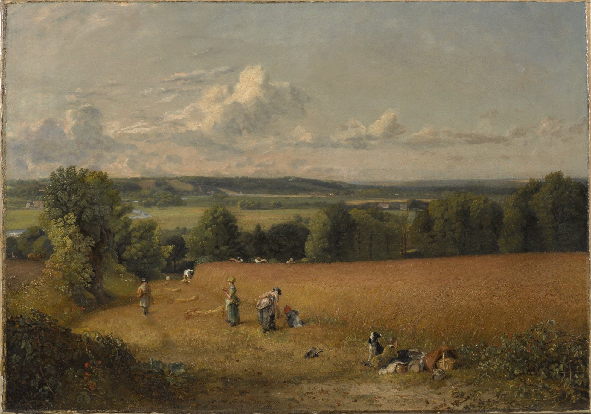 Le champ de blé - John Constable