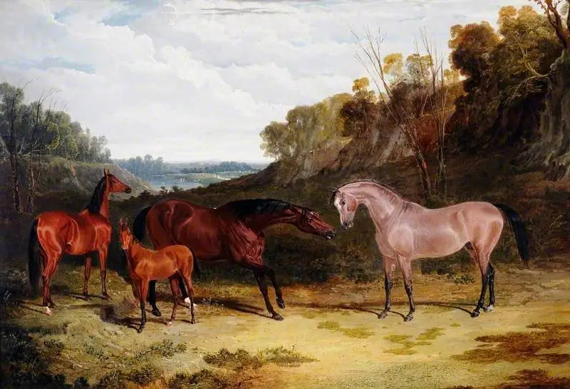 Chevaux dans un paysage - John Frederick Herring Sr. - Alpha Reproduction