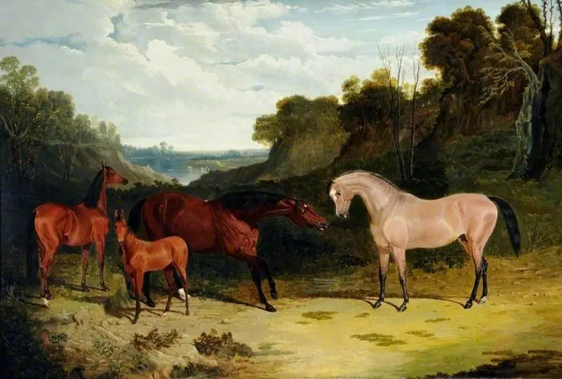 Chevaux dans un paysage - John Frederick Herring Sr. - Alpha Reproduction