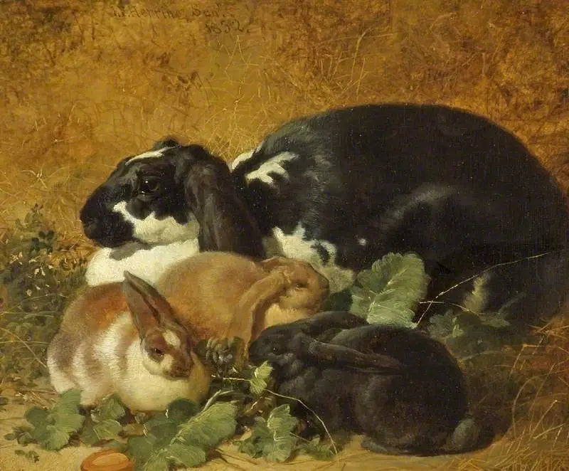 Lapins - John Frederick Herring, Sr.