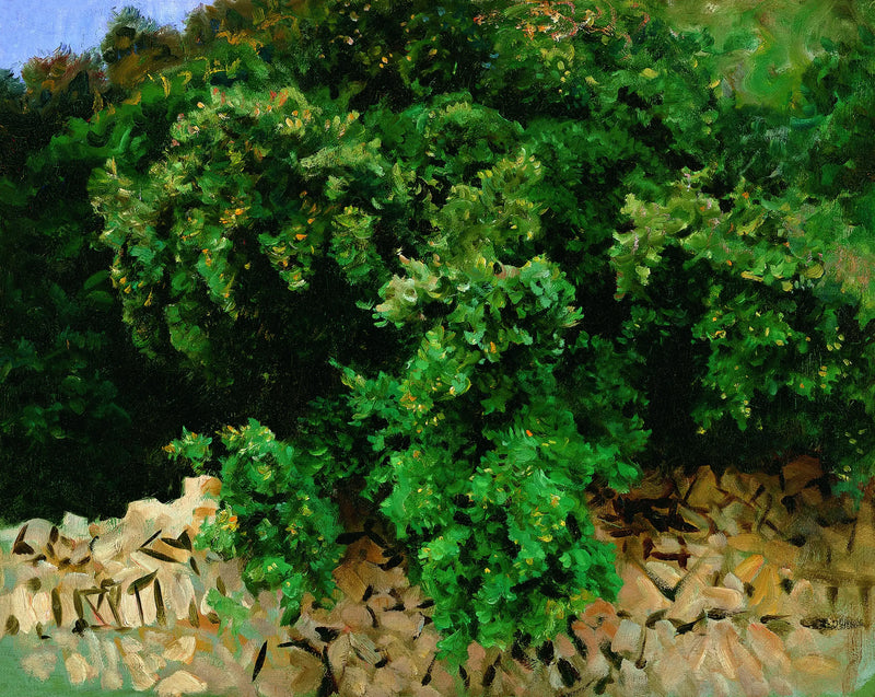 Bois d'Ilex. Majorque - John Singer Sargent
