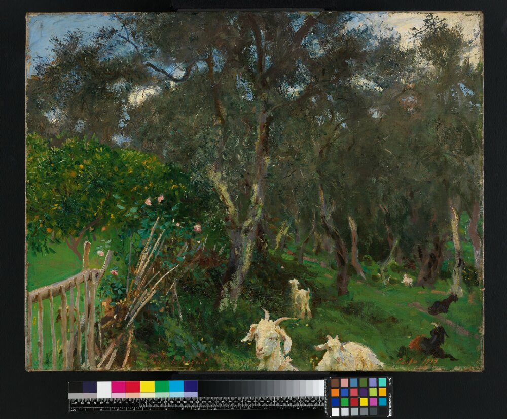 Reproduction du tableau « Olives à Corfou - John Singer Sargent » par Alpha Reproduction en peinture à l’huile