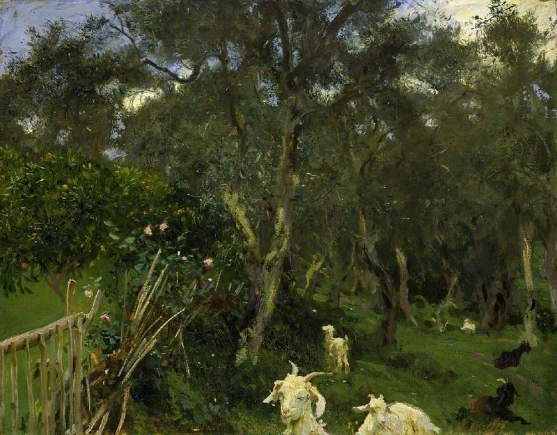 Reproduction du tableau « Olives à Corfou - John Singer Sargent » par Alpha Reproduction en peinture à l’huile