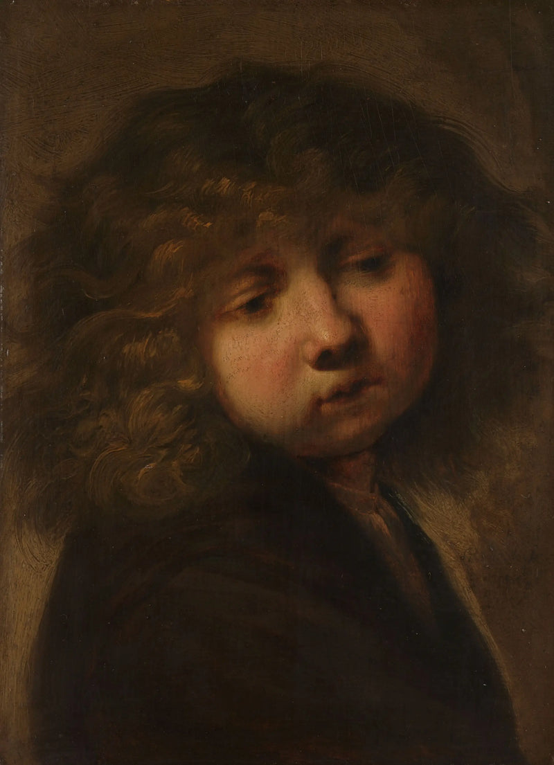 Tête d'un garçon - Rembrandt