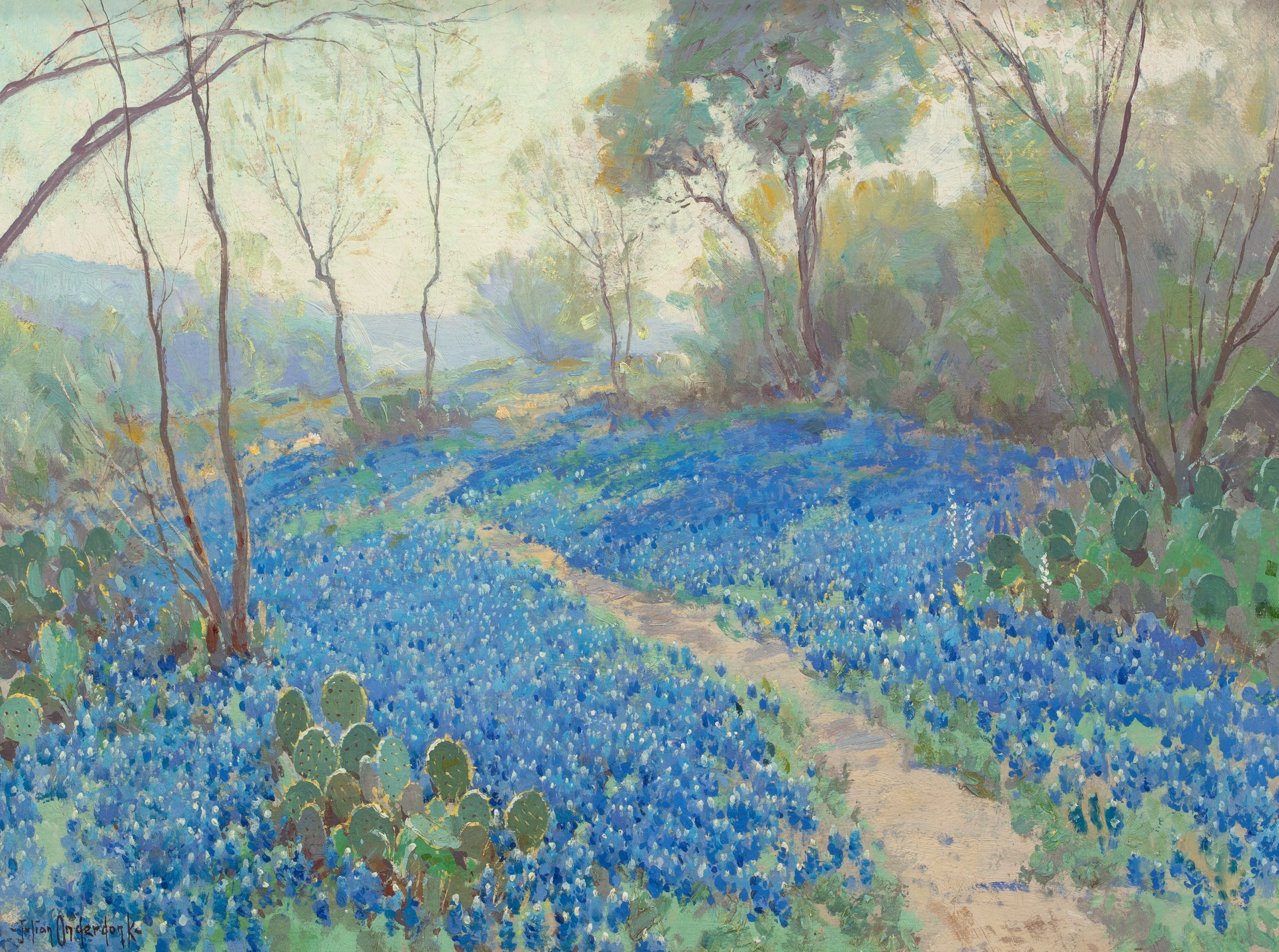 Un flanc de colline couvert de lupins bleus, tôt le matin, près de San Antonio, Texas. - Julian Onderdonk