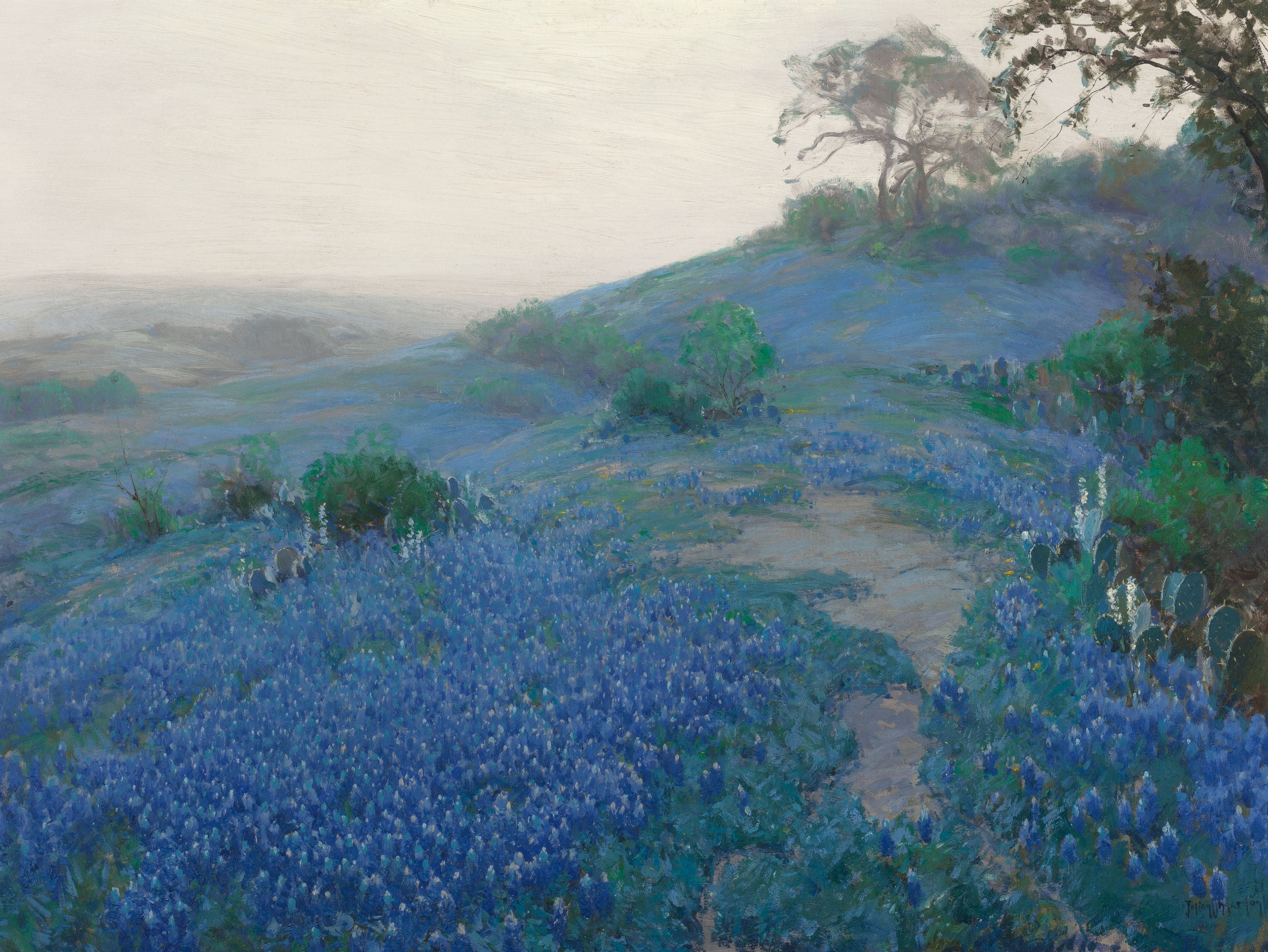 Blue Bonnet Field, tôt le matin, San Antonio, Texas - Julian Onderdonk