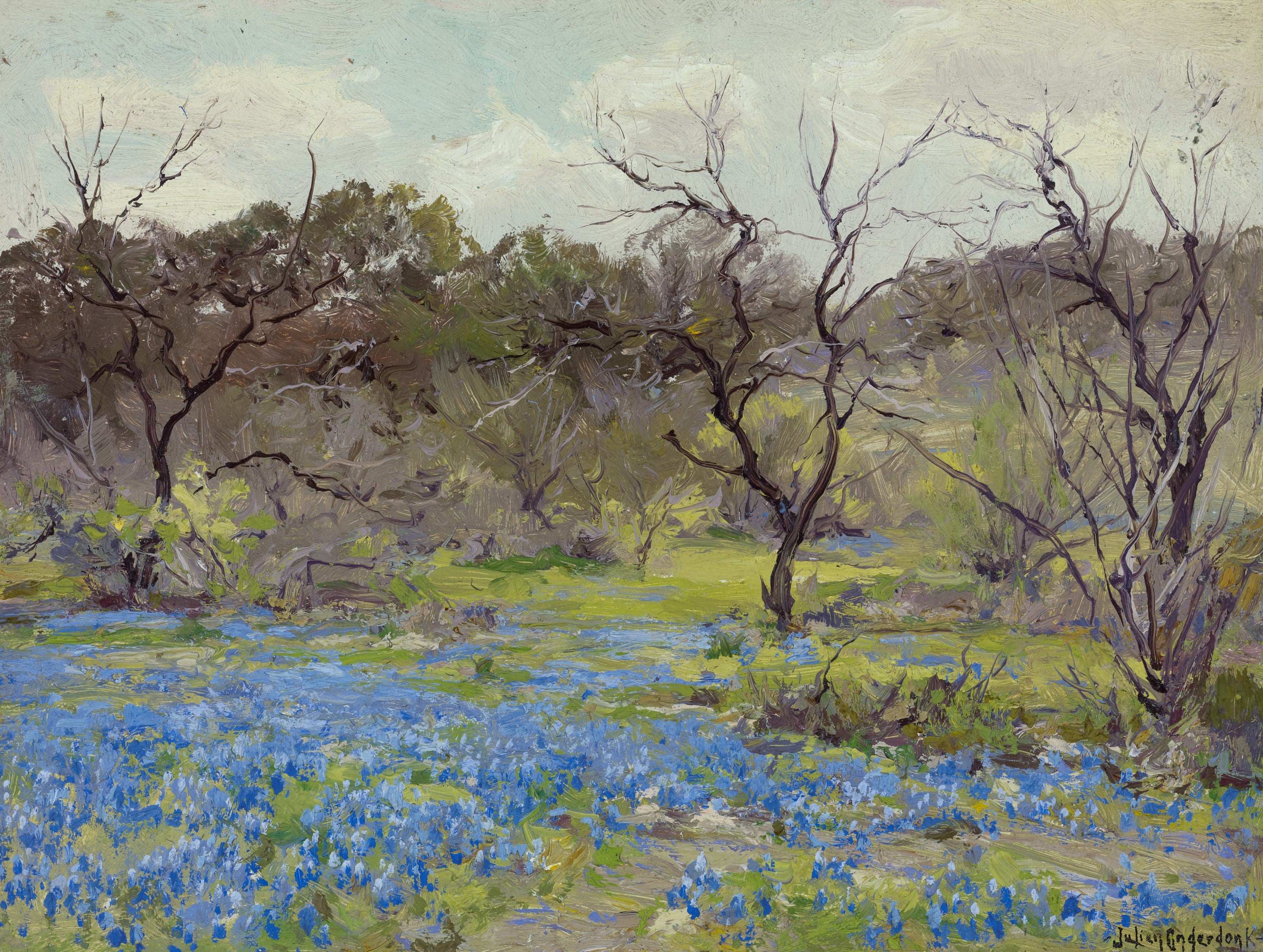 Début du printemps — Lupins bleus et mesquites - Julian Onderdonk