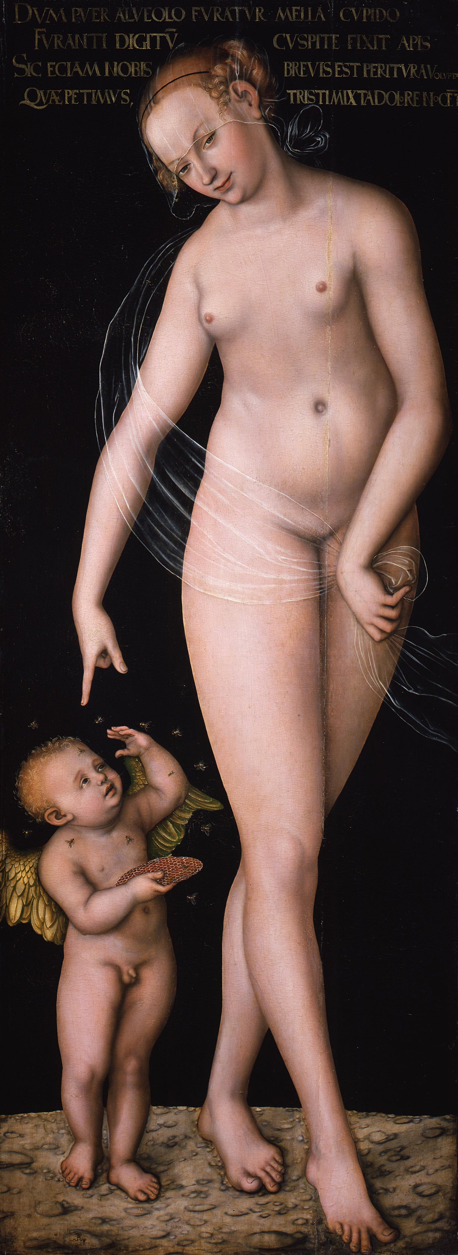 Vénus avec Cupidon le voleur de miel - Lucas Cranach the Elder