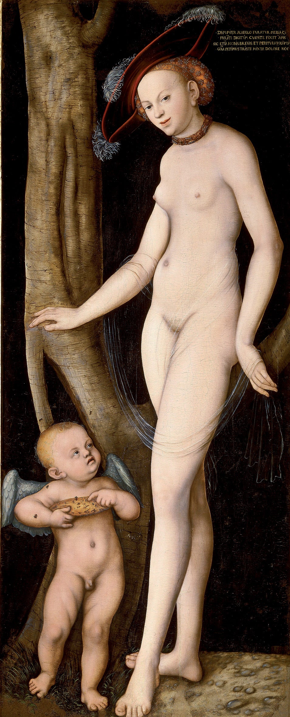 Vénus avec Cupidon voleur de miel - Lucas Cranach the Elder