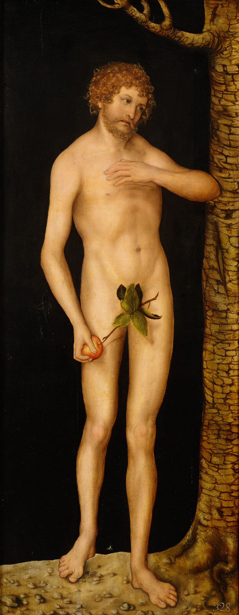 La chute de l'homme : Adam - Lucas Cranach the Elder