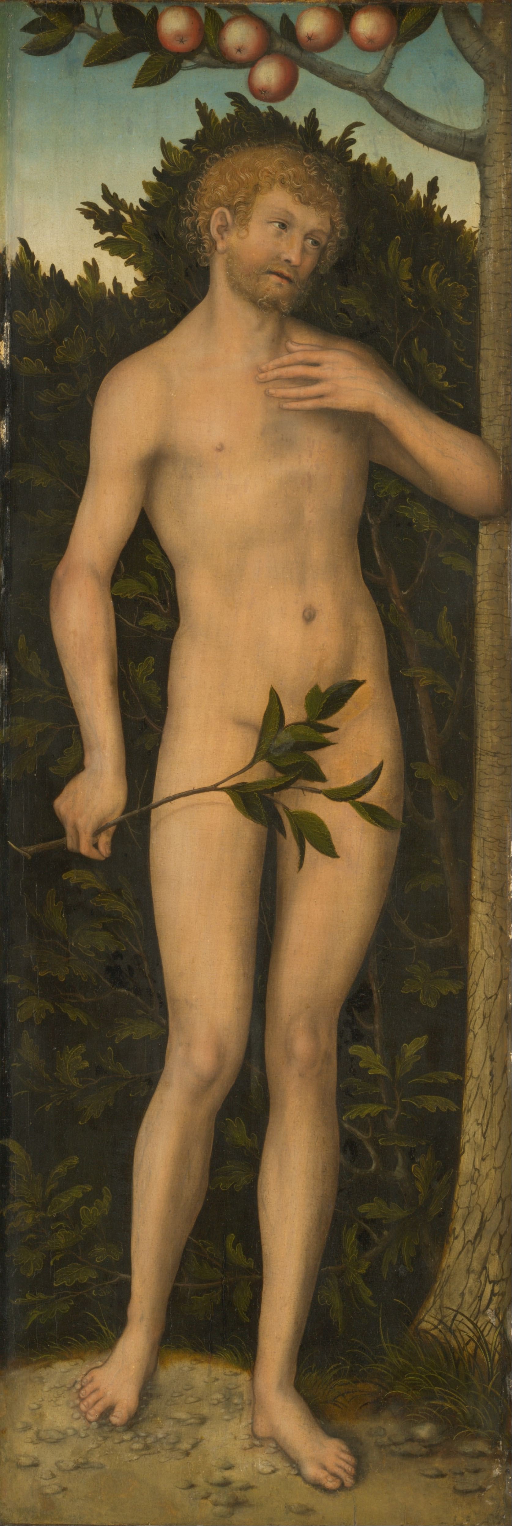 Adam - Lucas Cranach the Elder