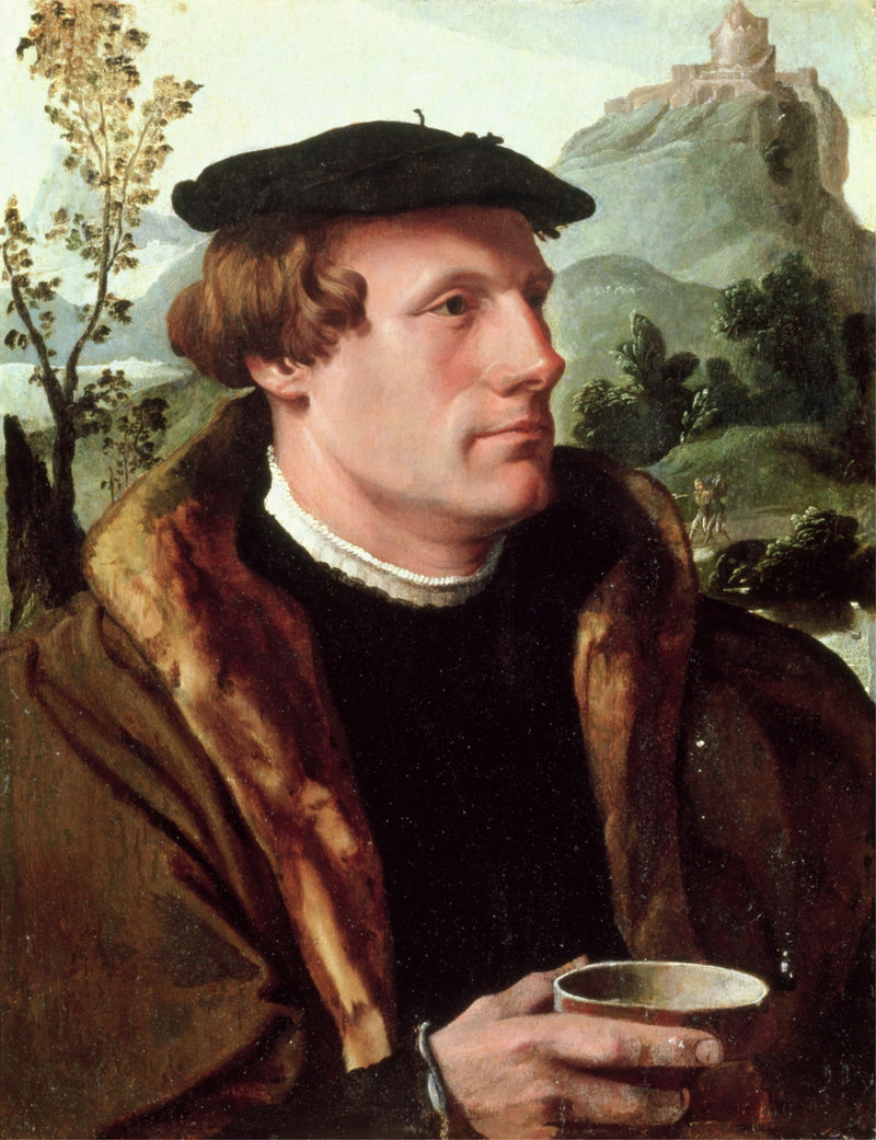 Portrait d'un gentilhomme - Maarten van Heemskerck