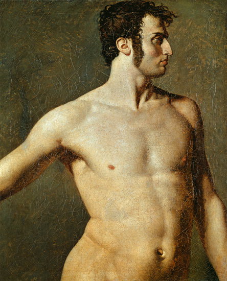 Torse d'homme - Jean-Auguste-Dominique Ingres