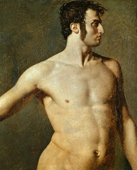 Torse d'homme - Jean-Auguste-Dominique Ingres