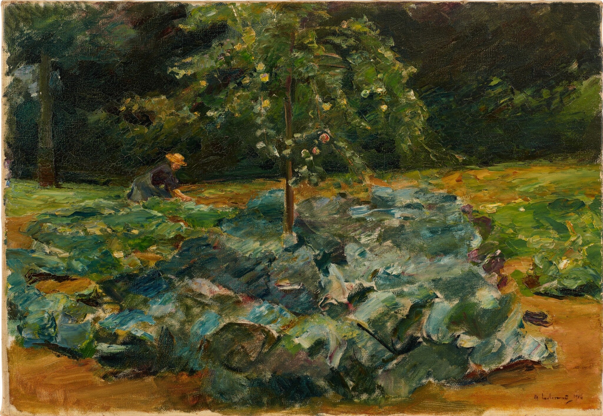 Champ de choux dans le jardin de Wannsee - Max Liebermann