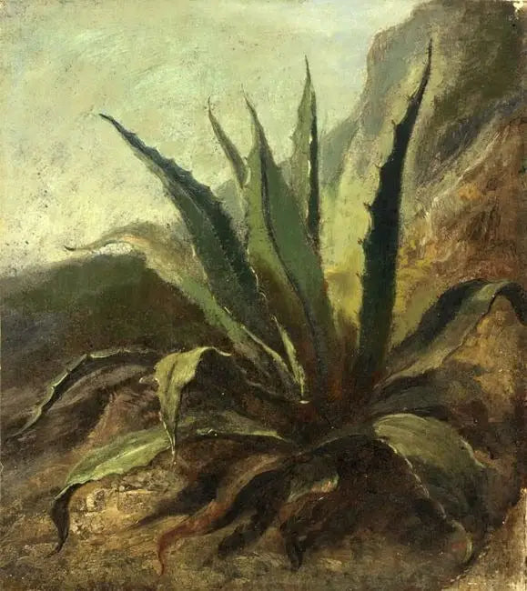 Agave au Maroc - Eugène Delacroix