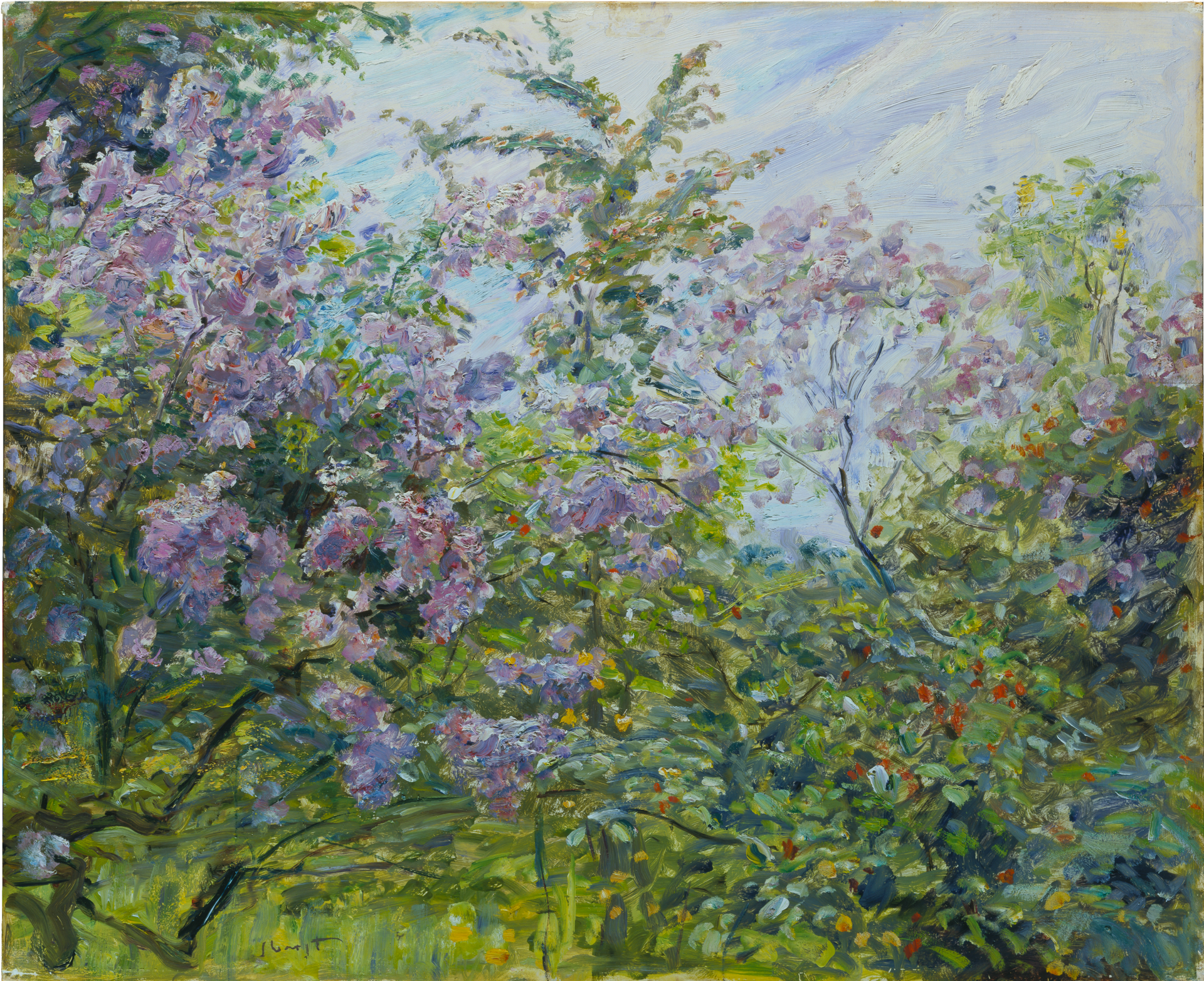 Blossoming Lilac - Max Slevogt
