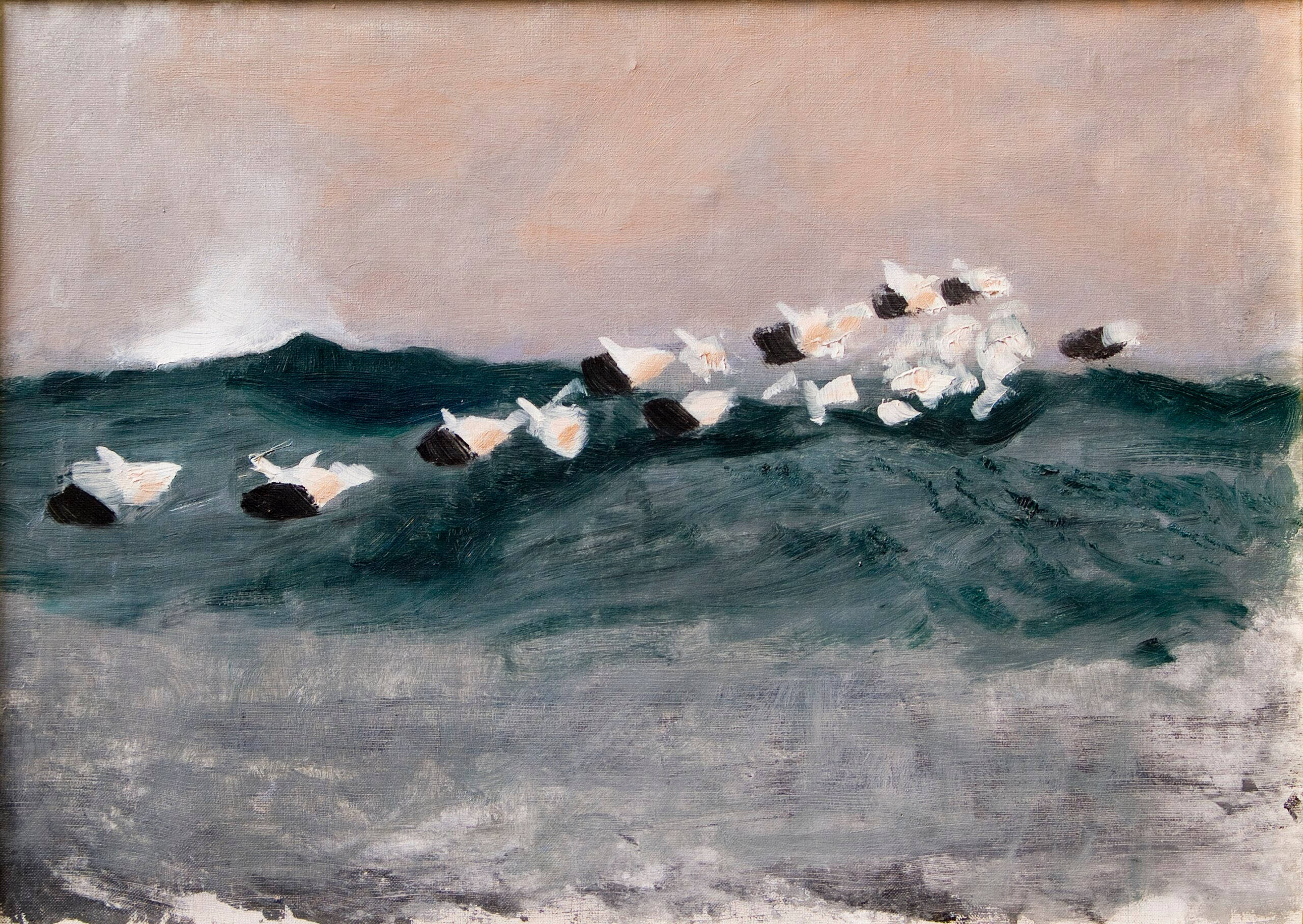 Croquis de canards eiders volant en formation - Bruno Liljefors