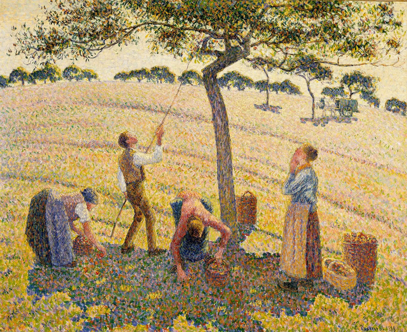La récolte des pommes à Éragny - Camille Pissarro