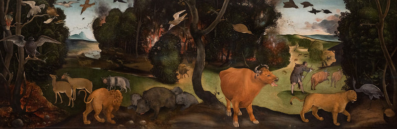 Le Feu de forêt - Piero di Cosimo