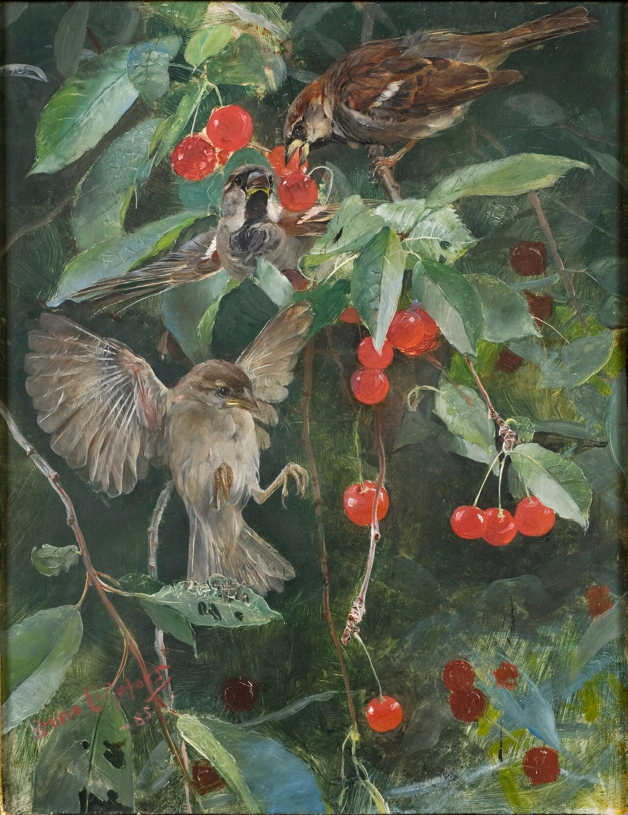 Moineaux dans un cerisier. Cinq études dans un seul cadre, NM 2223-2227 - Bruno Liljefors