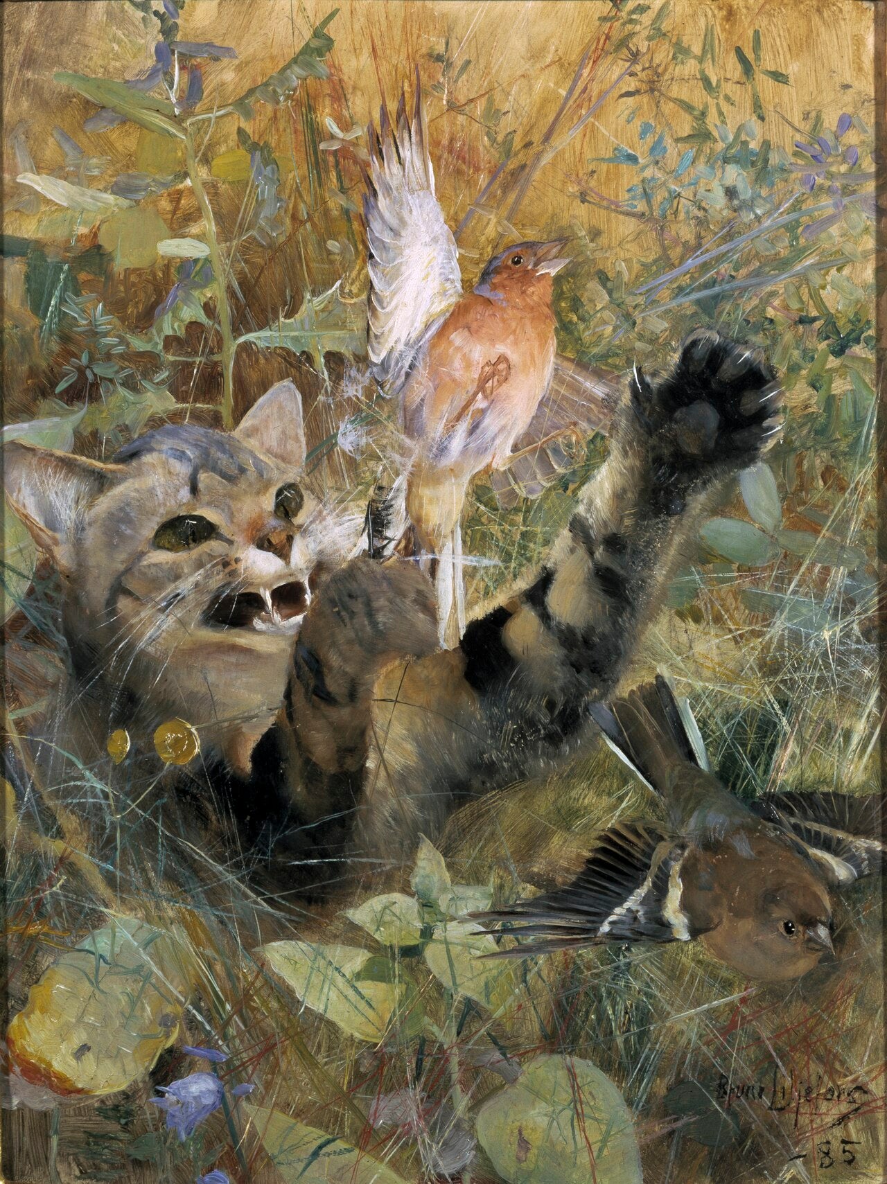 Un chat et un pinson. Cinq études animales dans une seule image, NM 2223-2227 - Bruno Liljefors