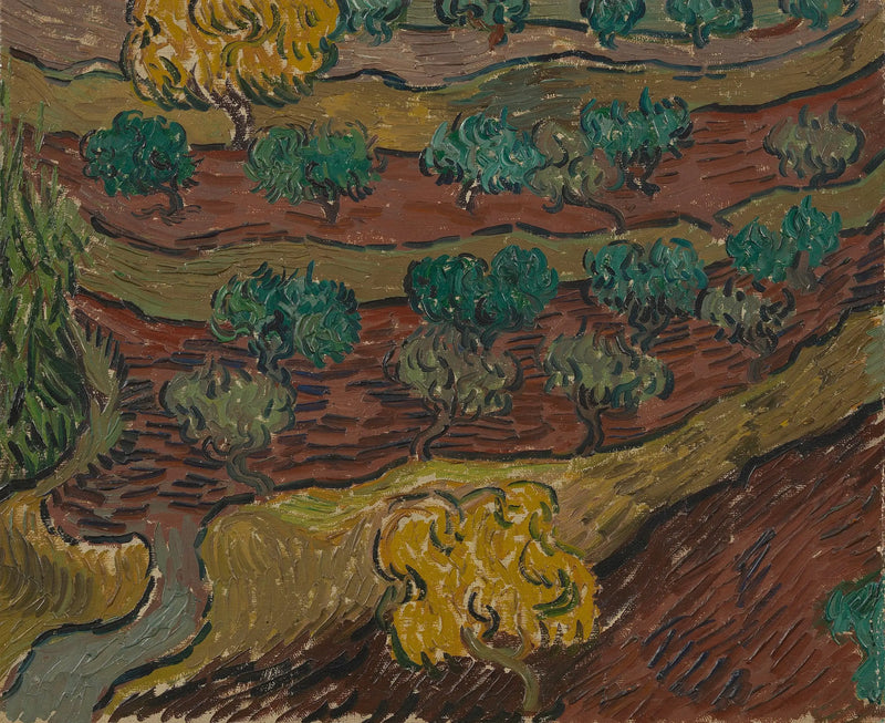 Oliviers sur une colline - Vincent van Gogh