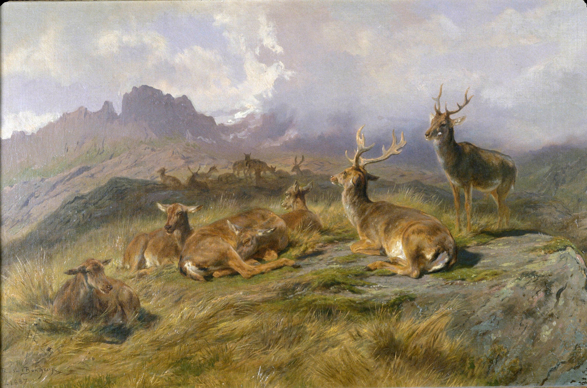 Paysage avec des cerfs - Rosa Bonheur