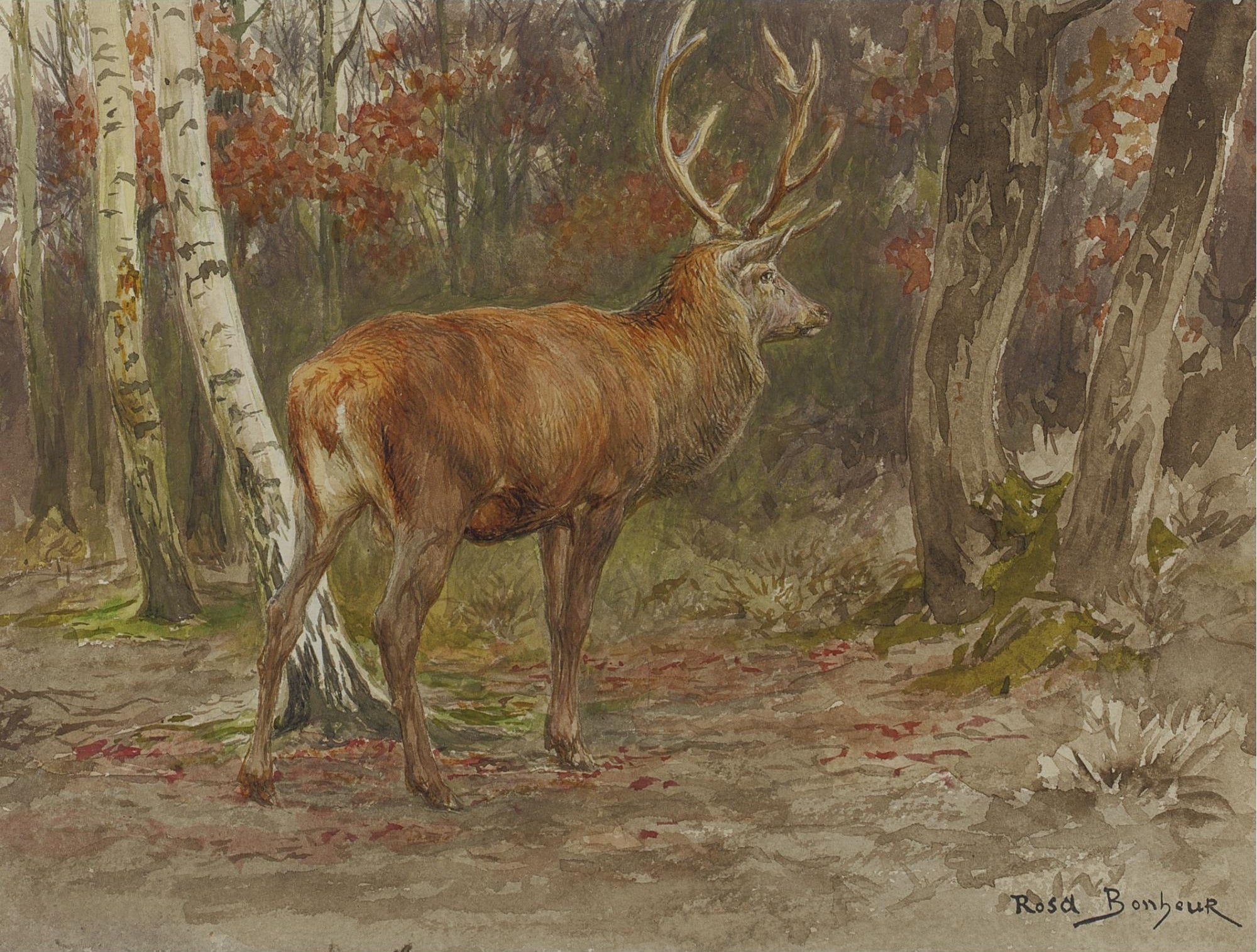 Cerf vigilant - Rosa Bonheur