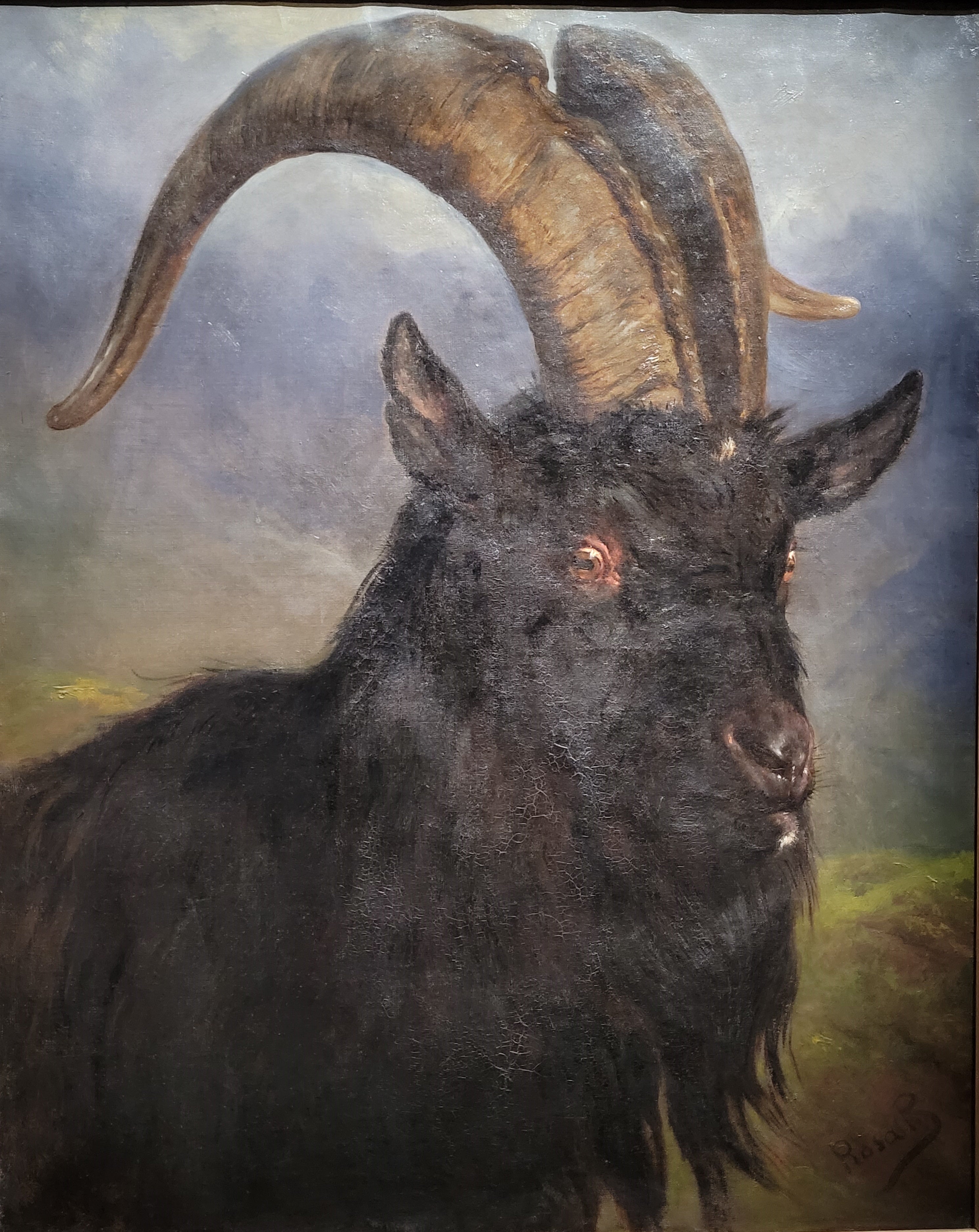 Tête de bouc - Rosa Bonheur